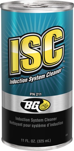 Induction System Cleaner